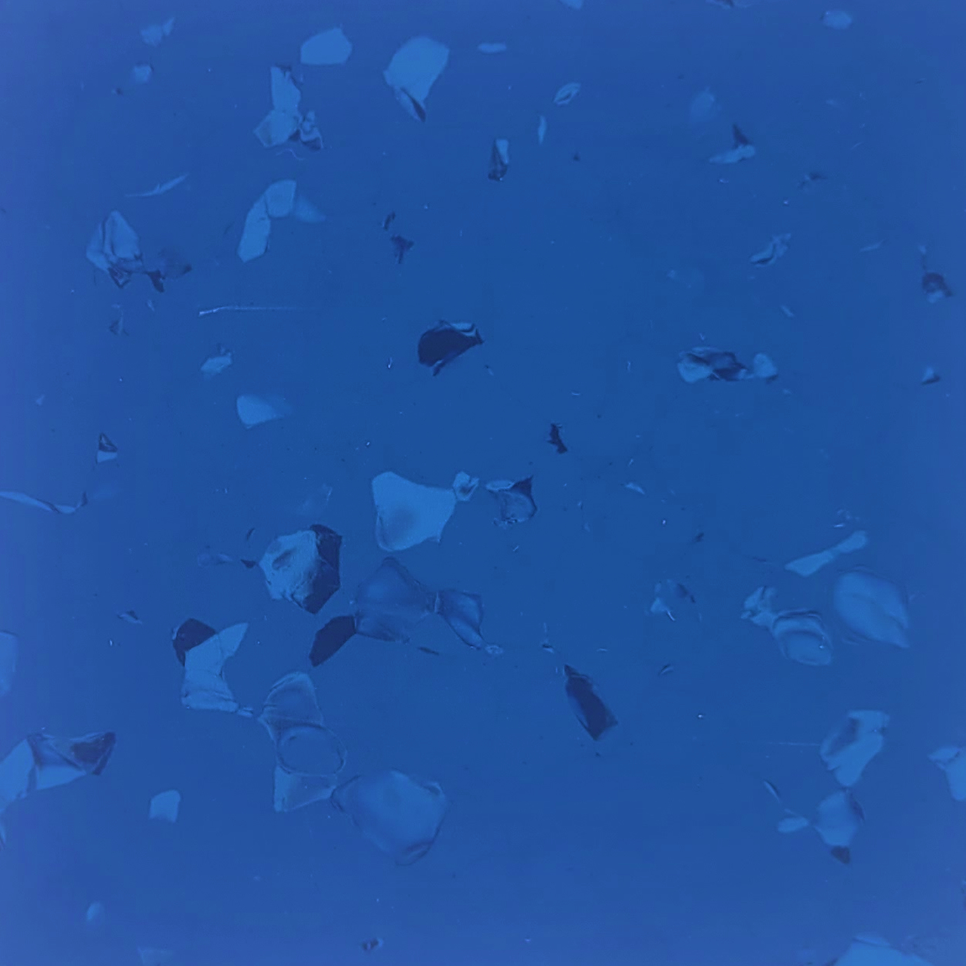 Ospefloor 5356 Azu®