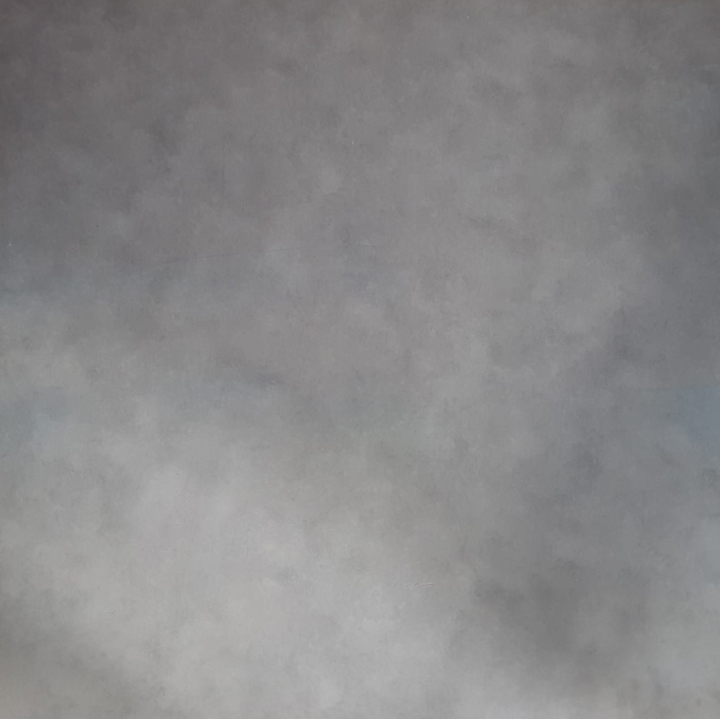 Piso Vinilico 2mm Griff